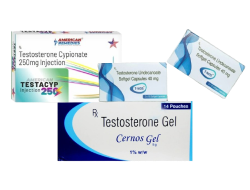 TESTOSTERONE